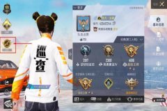 和平精英现状外挂多吗（和平精英里的外挂多吗）
