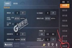 和平精英里面的外挂都是怎么开的（和平精英里的外挂是怎么搞的）