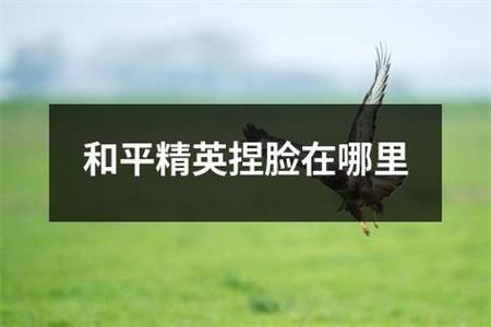 和平精英辅助安卓端平台(和平精英辅助官方平台) 和平精英辅助安卓端平台(和平精英辅助官方平台)