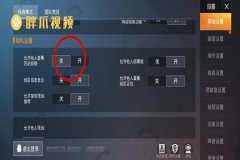 和平精英里面如何开外挂（和平精英里如何开真的外挂）