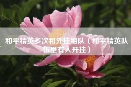 和平精英手游特大外挂案(和平精英外挂案) 和平精英手游特大外挂案(和平精英外挂案)