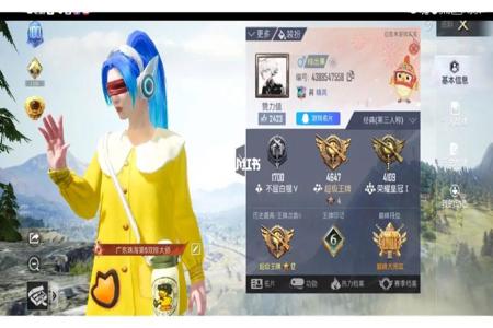 和平精英辅助助手免费版(和平精英辅助工具最新版) 和平精英辅助助手免费版(和平精英辅助工具最新版)