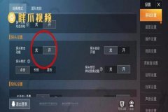 和平精英里面怎么开外挂的（和平精英里面怎么开隐身外挂）