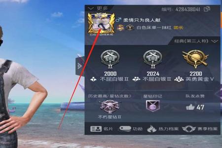 端游和平精英如何打开辅助瞄准(端游和平精英如何快速匹配) 端游和平精英如何打开辅助瞄准(端游和平精英如何快速匹配)