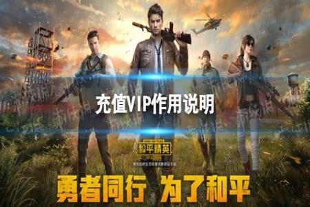 和平精英辅助交流软件哪个好(和平精英辅助神器软件哪个好用) 和平精英辅助交流软件哪个好(和平精英辅助神器软件哪个好用)