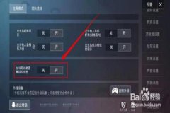 和平精英里面怎么能开外挂（和平精英里面怎么自己才能开外挂）
