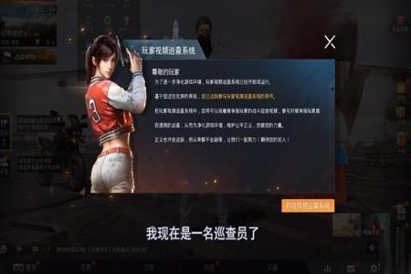 和平精英外挂显示什么（和平精英外挂提交显示什么）