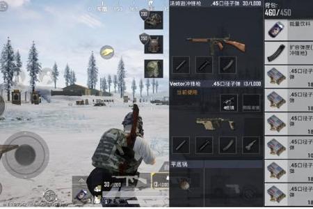 和平精英在哪块查外挂(和平精英查是否用外挂) 和平精英在哪块查外挂(和平精英查是否用外挂)