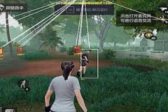 外挂是什么和平精英（怎么检查外挂和平精英）
