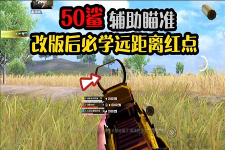 和平精英开辅助瞄准有什么作用(和平精英辅助瞄准有什么用呢) 和平精英开辅助瞄准有什么作用(和平精英辅助瞄准有什么用呢)