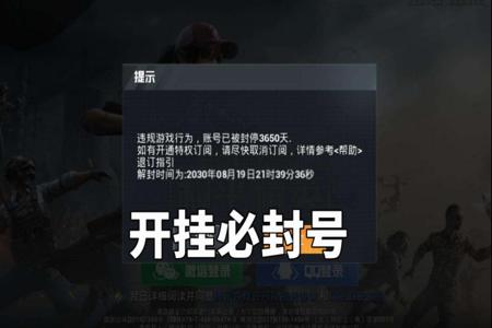 和平精英外挂审查怎么做（和平精英外挂审查）