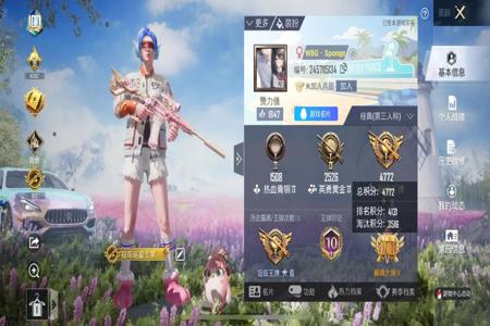 和平精英去ios辅助(和平精英ios辅助app) 和平精英去ios辅助(和平精英ios辅助app)