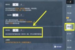 怎样开和平精英的外挂界面（和平精英外挂的操作界面）
