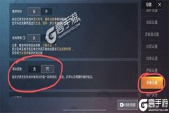 玩和平精英如何查看外挂（和平精英如何用设置开外挂）