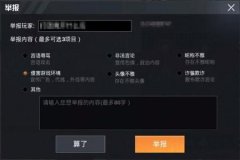 如何才能直播和平精英外挂巡查（和平精英外挂巡查回放）