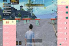 外挂悬浮窗怎么用和平精英（外挂和平精英种类）