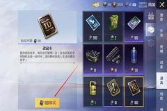 和平精英金子辅助怎么开（和平精英辅助怎么弄）
