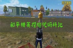 和平精英战术辅助设置在哪（和平精英战斗设置在哪里）
