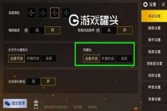 和平精英麦香辅助怎么用（和平精英大仙辅助怎么用）