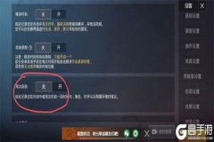 如何在和平精英用外挂（在和平精英怎么变成外挂）